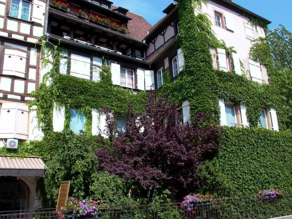 Apartamento Chez Pauline Colmar Exterior foto