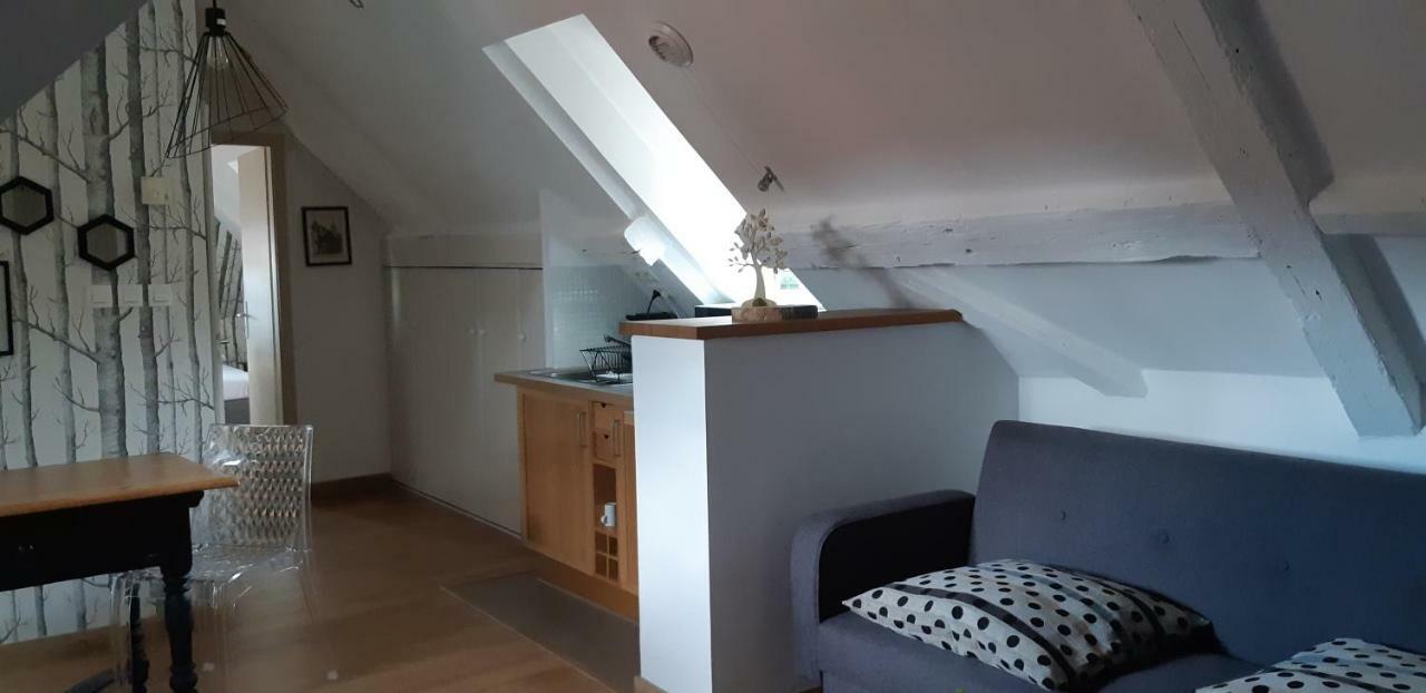 Apartamento Chez Pauline Colmar Exterior foto